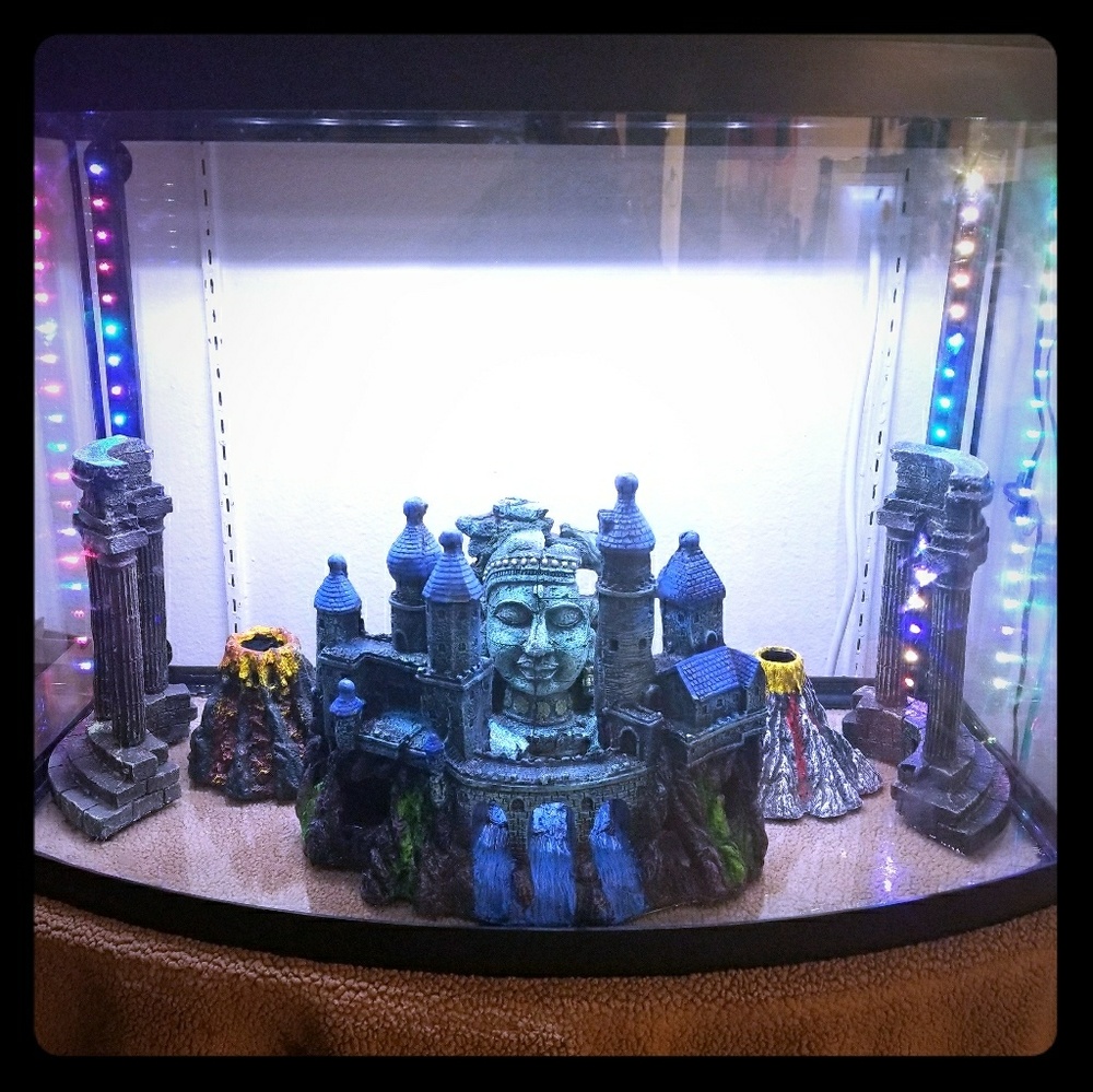 Aquarium/fish tank